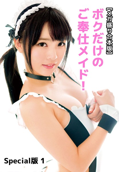 【写真集】【メガ盛り合本版】ボクだけのご奉仕メイド！ Special版 1｜