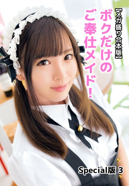 【写真集】【メガ盛り合本版】ボクだけのご奉仕メイド！ Special版 3｜