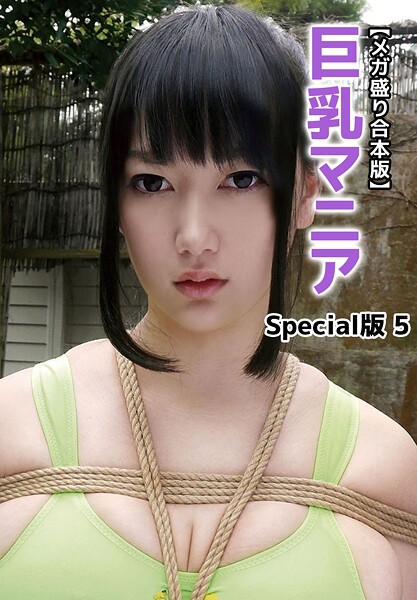 【写真集】【メガ盛り合本版】巨乳マニア Special版 5｜