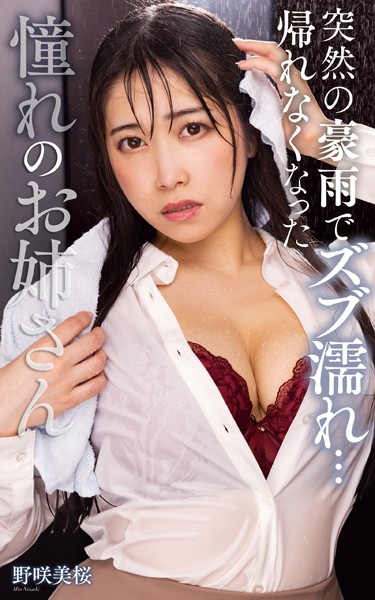 【写真集】野咲美桜『突然の豪雨でズブ濡れ… 帰れなくなった憧れのお姉さん』（199Photos）｜