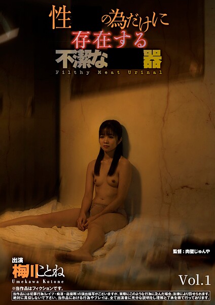 【写真集】性処理の為だけに存在する不潔な肉便器 梅川ことね Vol.1｜