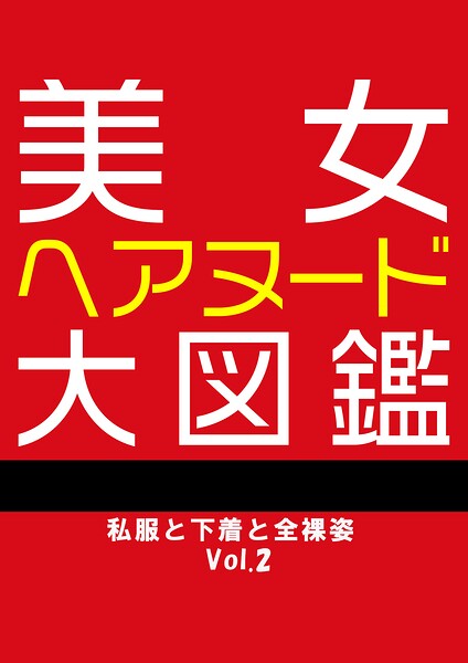 【写真集】美女ヘアヌード大図鑑 私服と下着と全裸姿 Vol.2｜