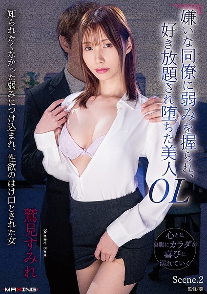 【写真集】嫌いな同僚に弱みを握られ、好き放題され堕ちた美人OL 鷲見すみれ Scene.2｜